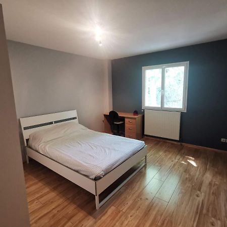 Chambre D'Hote Dans Une Maison Avec Parking Privee Saint-Etienne  Exterior foto